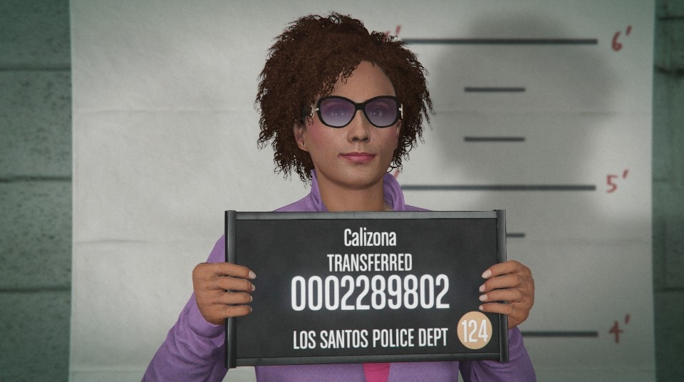 gta san andreas michelle hot coffee false character
