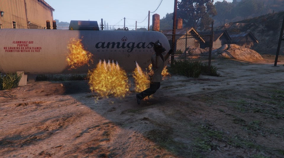 Redwood Lights Track