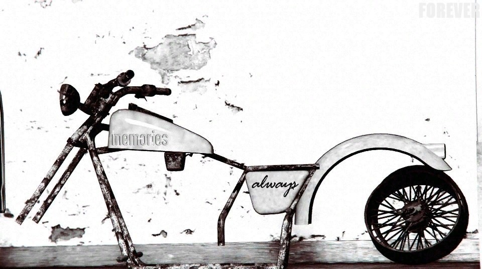 Immagine Postata